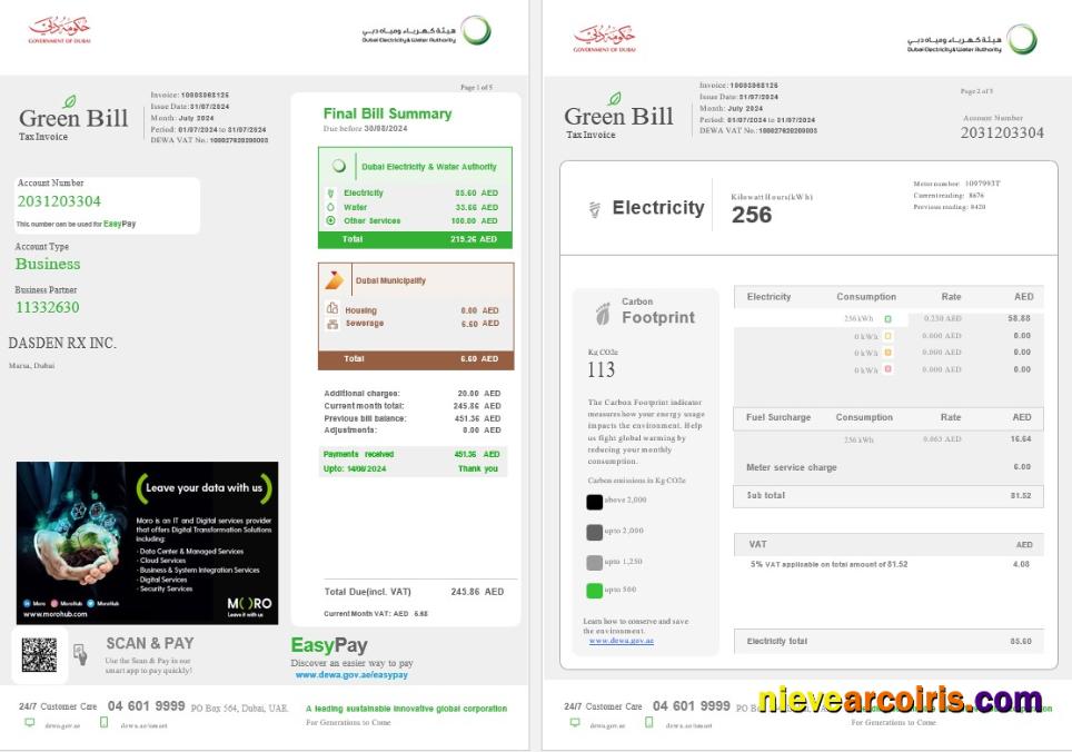 United Arab Emirates Dubai Green business utility bill 1-2
